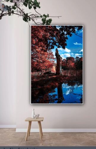 Large Abstract limited print On 81 x 55cm canvas City Scroll London Free postage