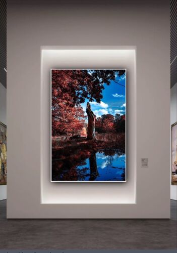 Large Abstract limited print On 81 x 55cm canvas City Scroll London Free postage