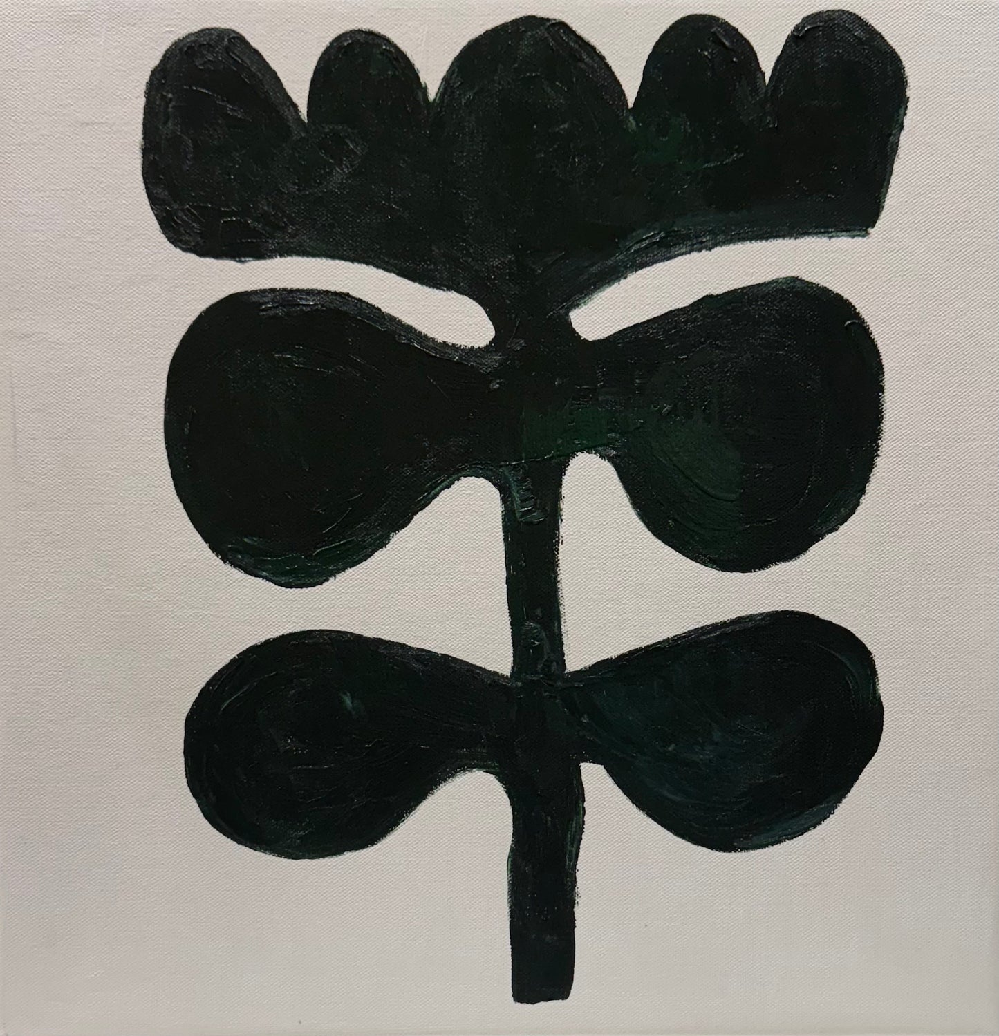Eferi Plant II Green & White Modern Abstract oil Painting On Canvas 40x40cm In Oka floral