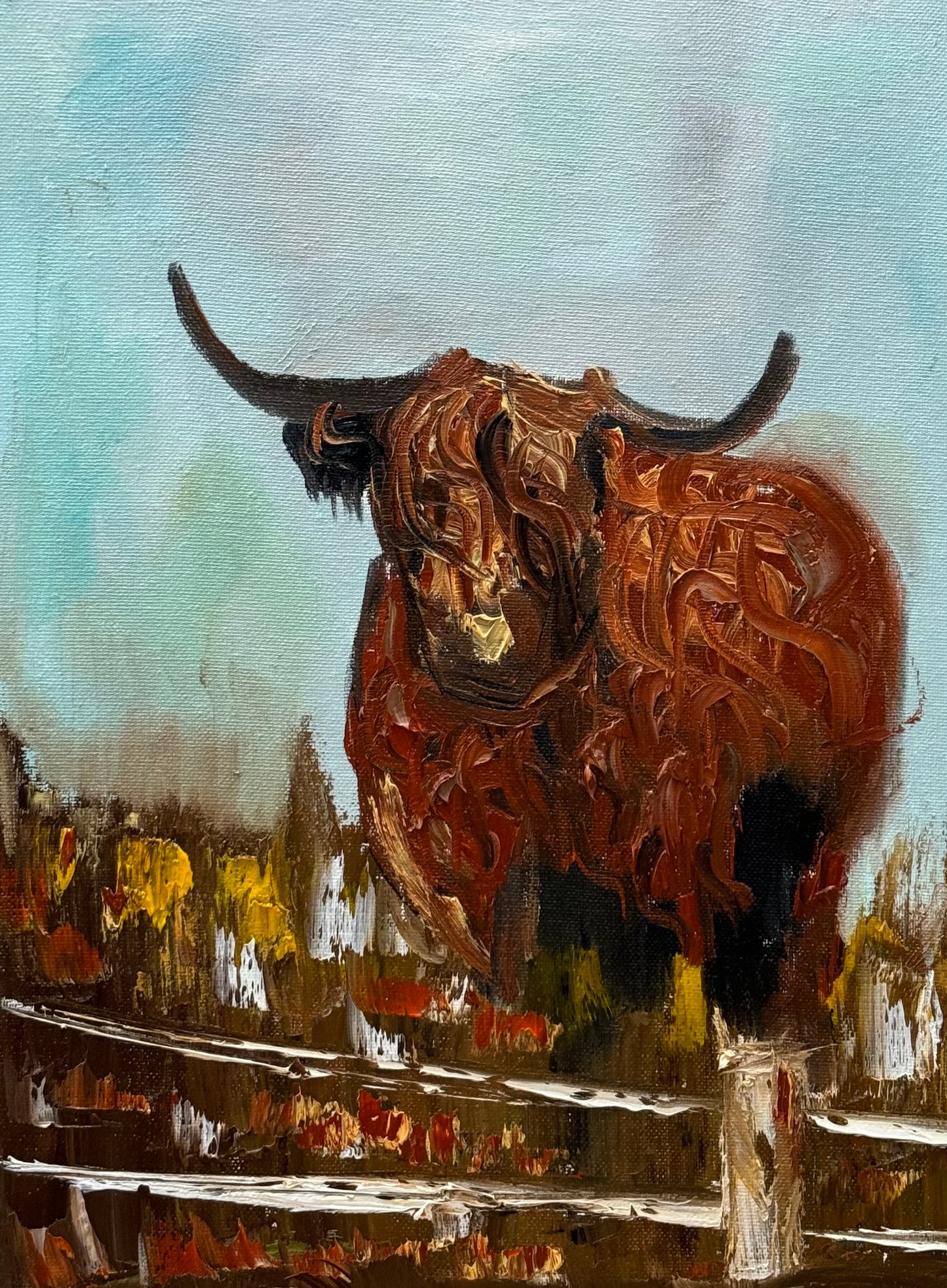 Abstract Original Oil Painting On 30 x 40cm Canvas Aboriginal highland cow ‘Bernie’ animal